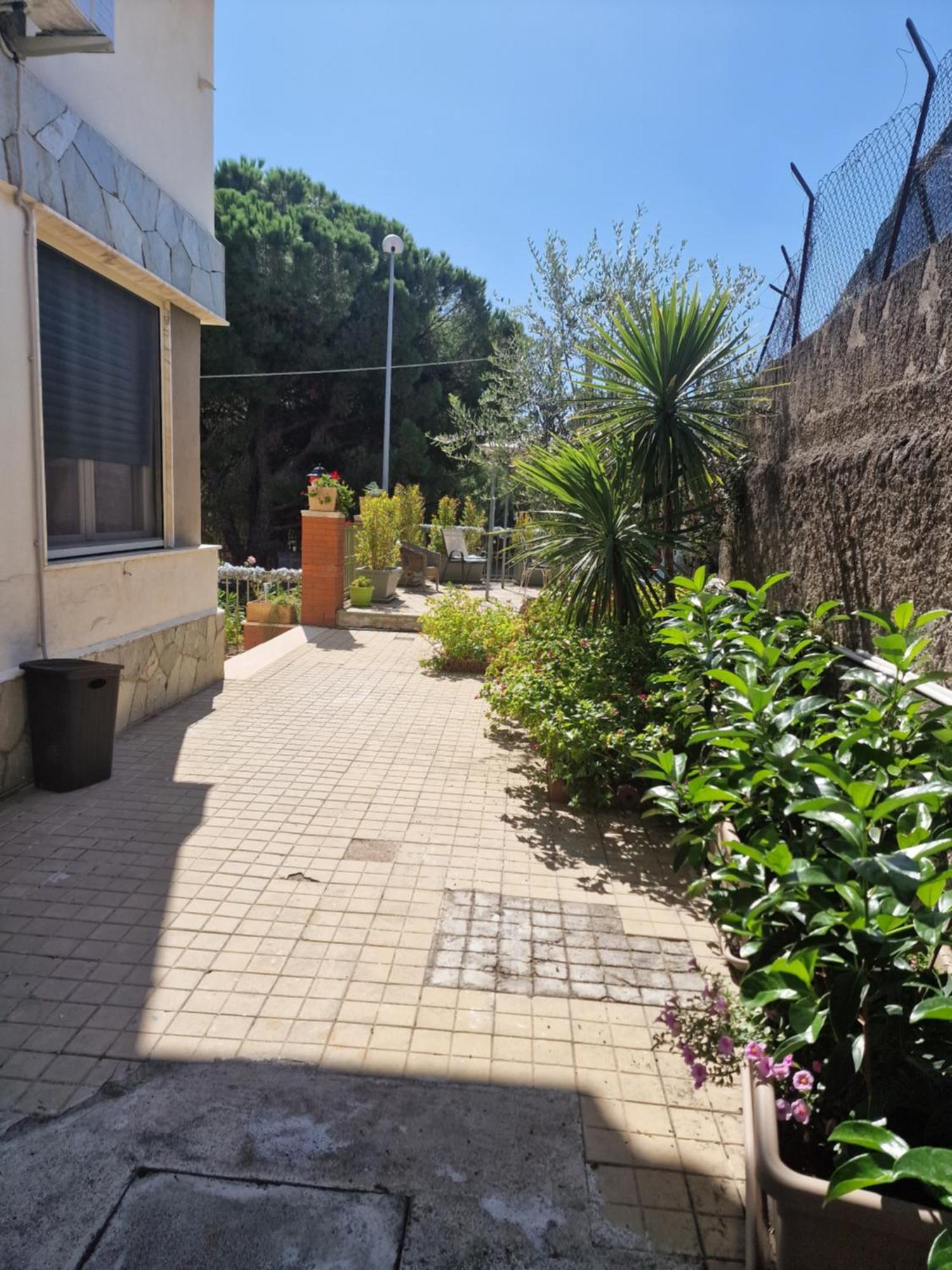 니콜로시 Althea Etna Garden B&B 외부 사진